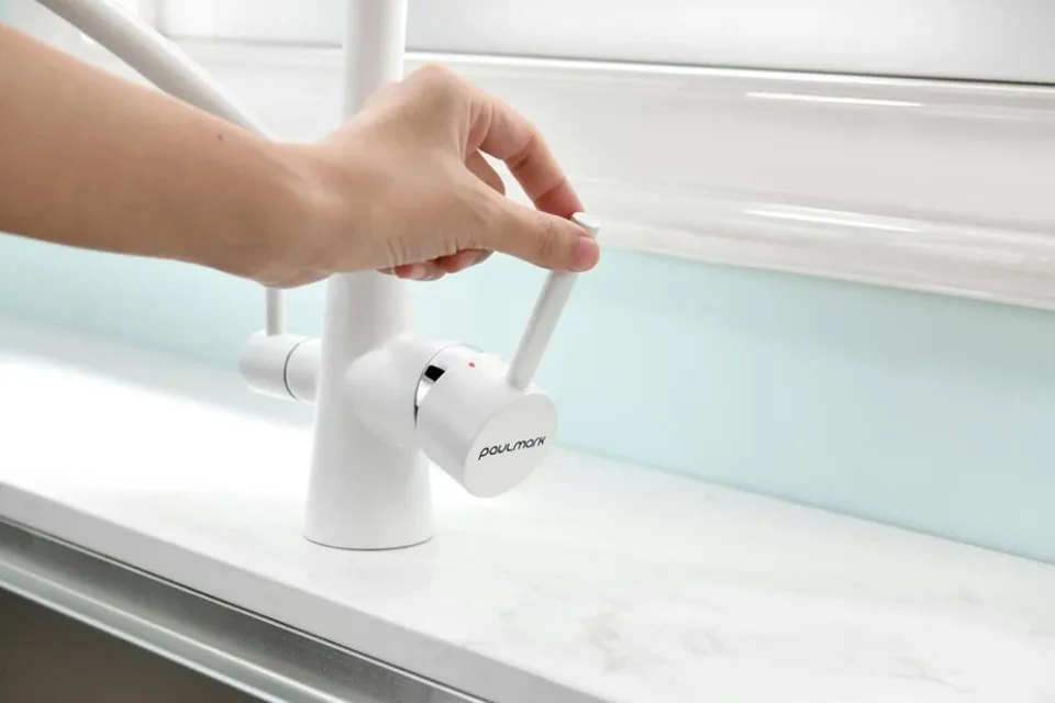 Смеситель Paulmark Siegen Si213111-431TW для кухни с функцией подключения фильтра и гибким изливом белый матовый