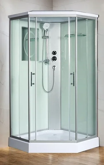 Душевая кабина WeltWasser WW500 Premium Nesse 1002 100х100х217