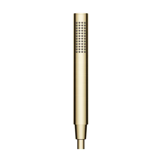 Душевая лейка Sancos Ветвь (Stick) 30 SC9036BG брашированное золото