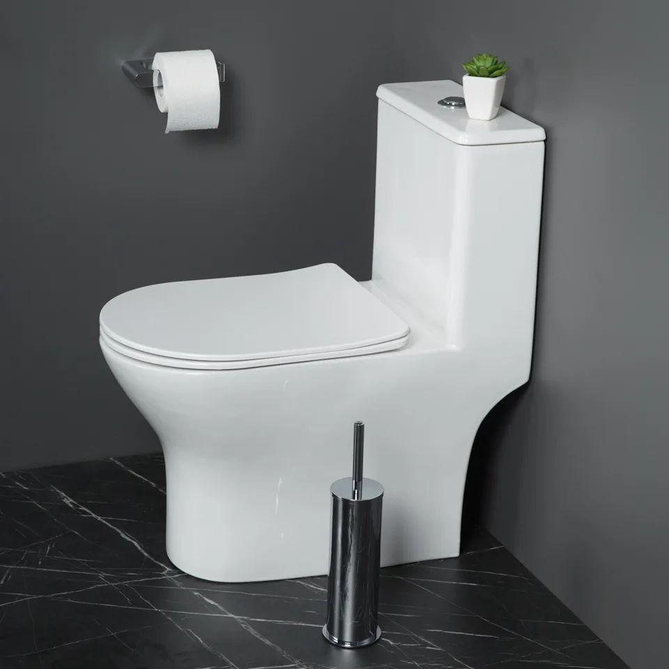 LOUNGE Унитаз-моноблок с сиденьем дюропласт soft close, P-trap BB8618CPR-MN/SC