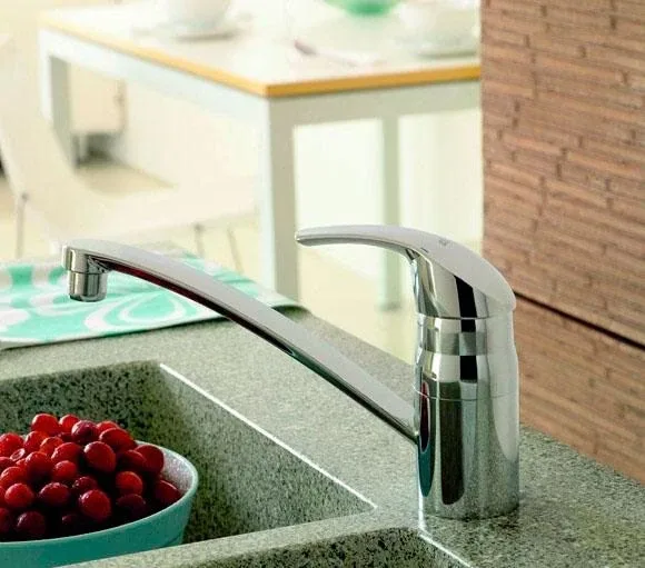 Смеситель Grohe Euroeco 32750000 для кухни