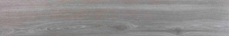 Плитка керамогранитная ECO ceramic WALKYRIA SILVER 20x120 Matt (EC3202300006M)