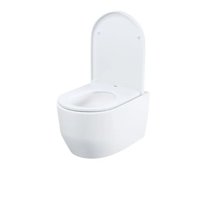 Унитаз Iddis подвесной Эйгер Кью (Aiger Q) AIQRDSEi25 безободковый 52,5x36x36 см белый глянцевый