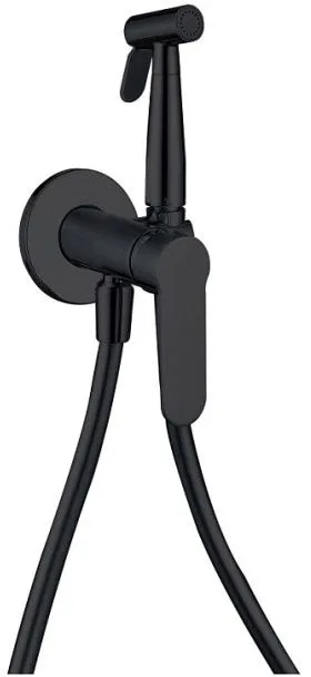 Гигиенический душ со смесителем Aquanet Passion AF300-52B черный матовый скрытый монтаж (с внутренней частью)