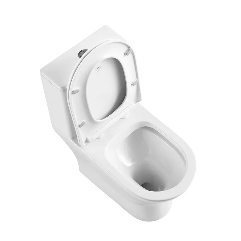 LOUNGE Унитаз-моноблок с сиденьем дюропласт soft close, P-trap BB8618CPR-MN/SC
