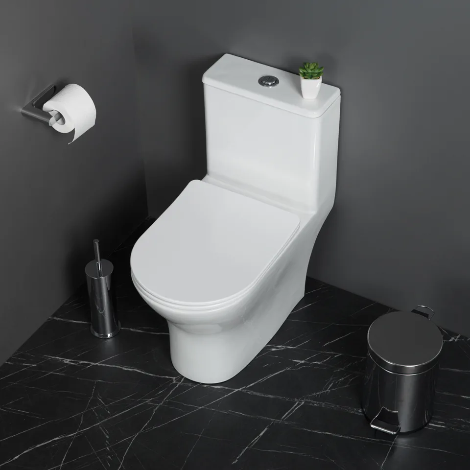 LOUNGE Унитаз-моноблок с сиденьем дюропласт soft close, P-trap BB8618CPR-MN/SC