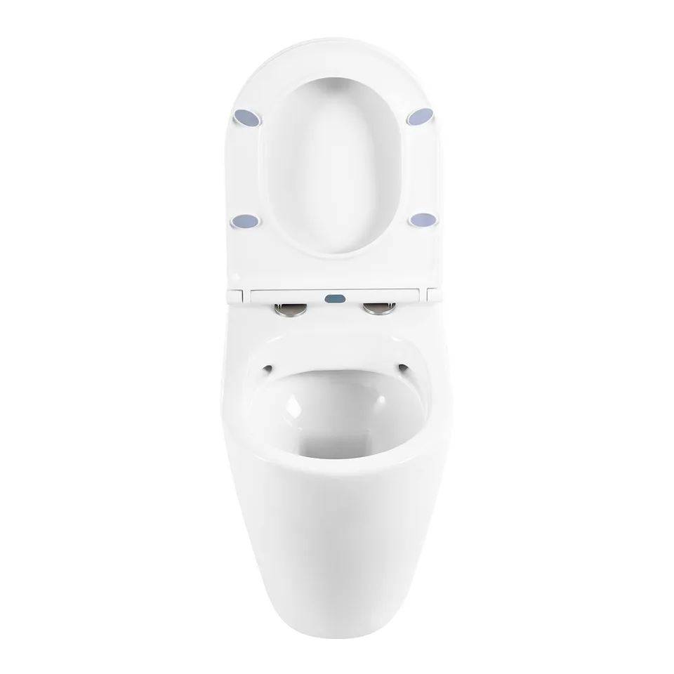 Унитаз приставной безободковый BelBagno MARINO BB105CBR/BB870SC