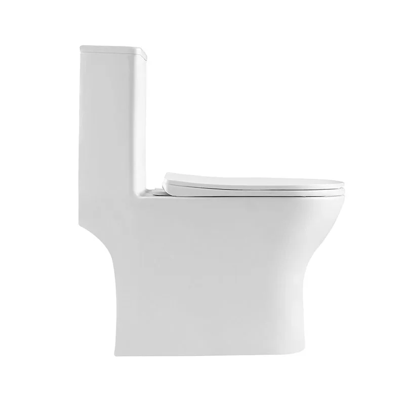 LOUNGE Унитаз-моноблок с сиденьем дюропласт soft close, P-trap BB8618CPR-MN/SC