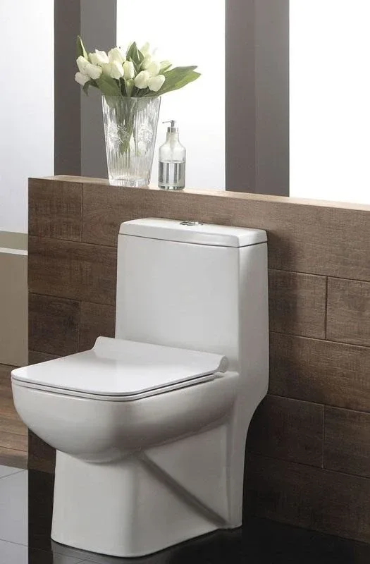 Унитаз-моноблок Azario AZ-1169 36,5*64 с крышкой-сиденьем микролифт Slim