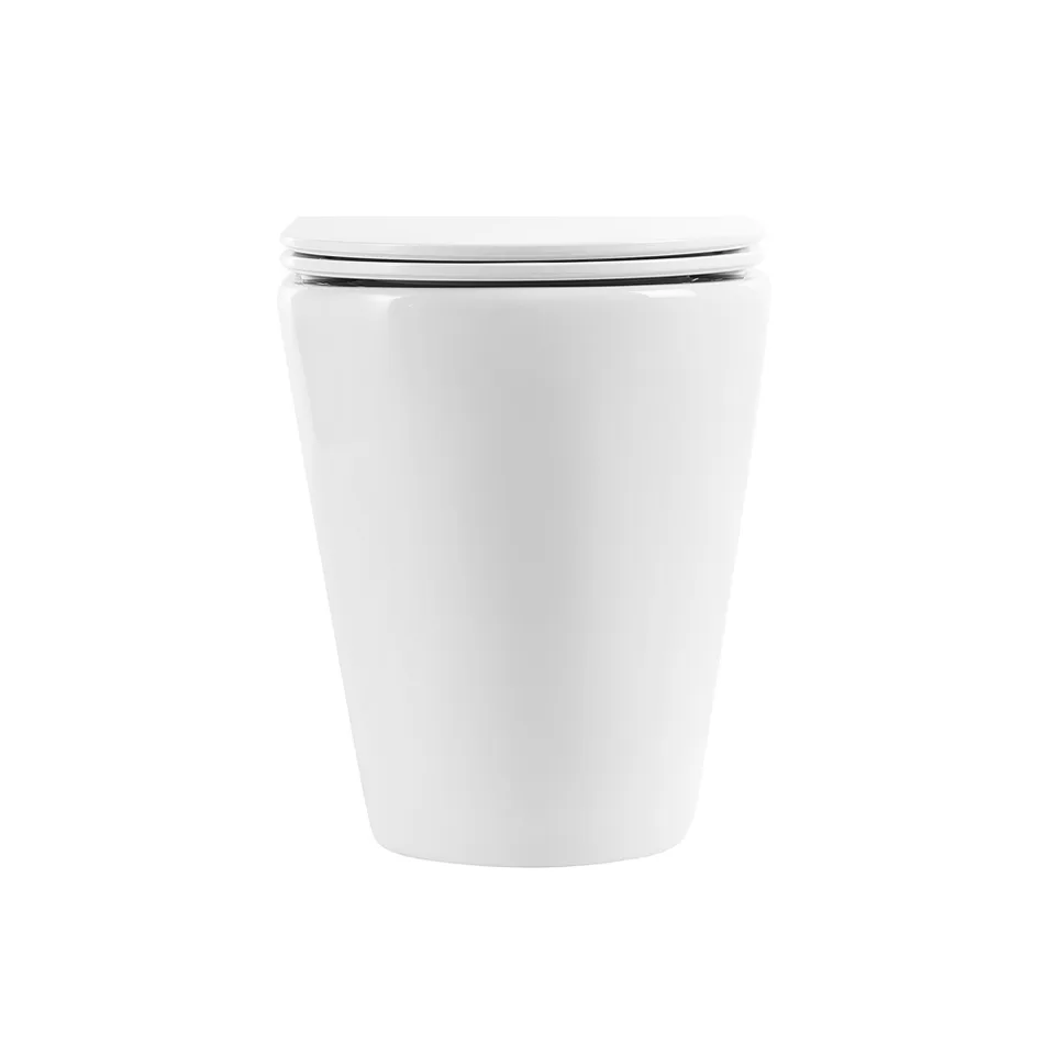 Унитаз приставной безободковый BelBagno MARINO BB105CBR/BB870SC