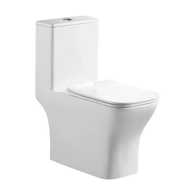 NEON Унитаз-моноблок с сиденьем дюропласт soft close, P-trap BB8617CPR-MN/SC