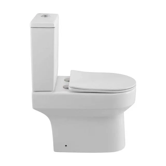 Унитаз-компакт безободковый BelBagno NORMA BB339CPR/BB339T/BB089SC