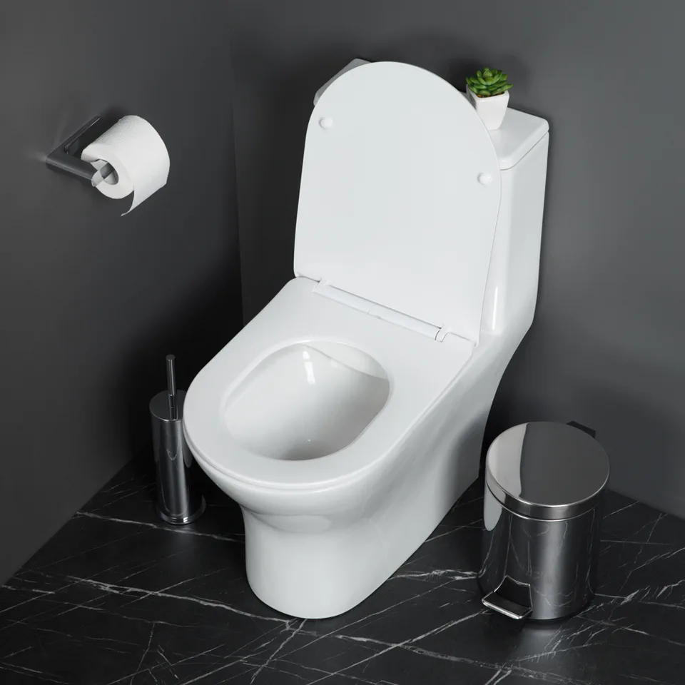 LOUNGE Унитаз-моноблок с сиденьем дюропласт soft close, P-trap BB8618CPR-MN/SC