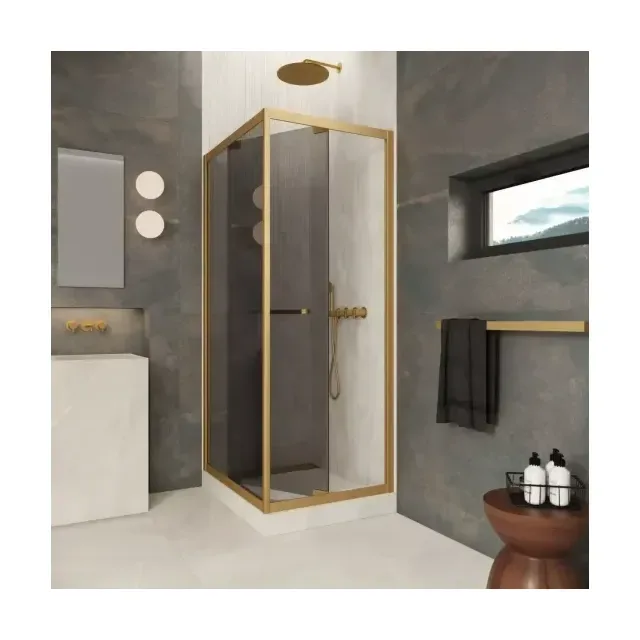 Душевой уголок Z+ZPV Inside 60*70 03 07 профиль золото матовое стекло графит