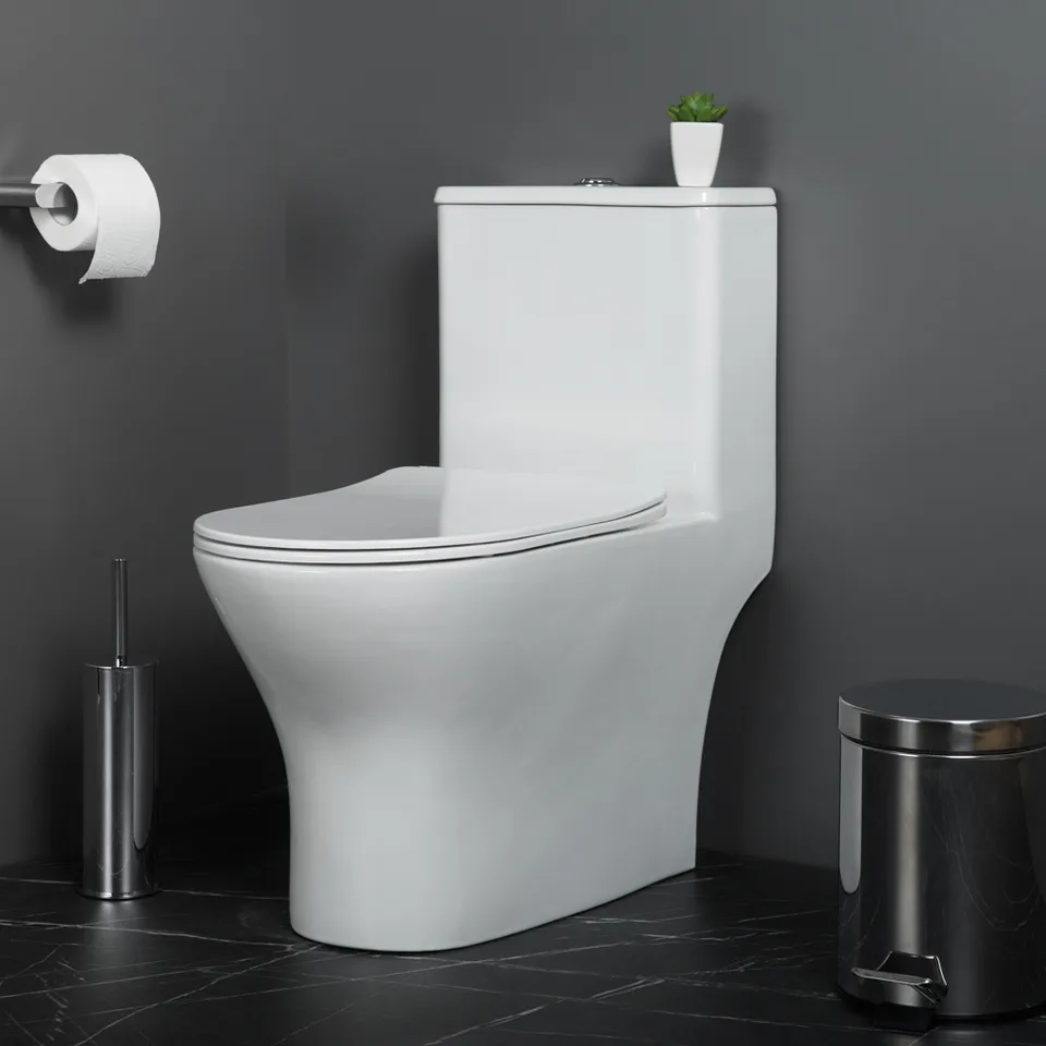 LOUNGE Унитаз-моноблок с сиденьем дюропласт soft close, P-trap BB8618CPR-MN/SC