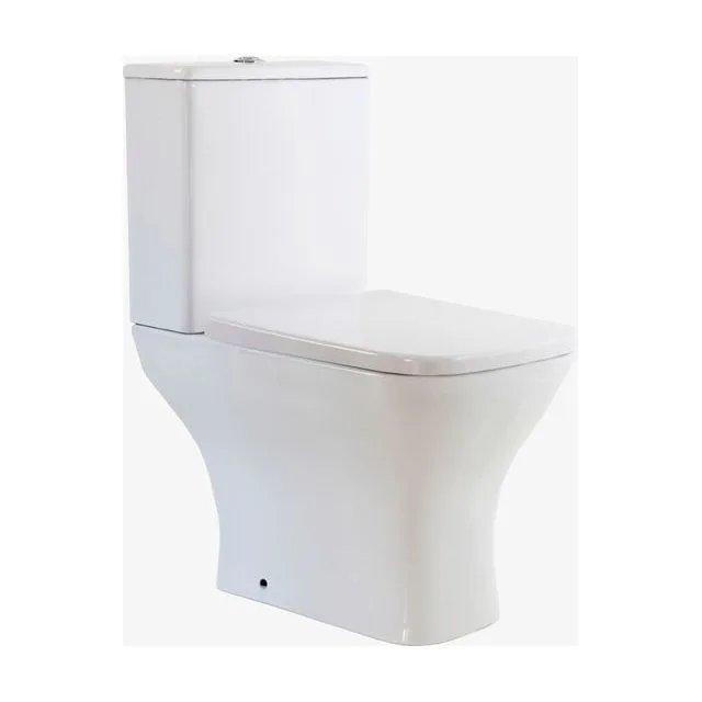 Напольный безободковый унитаз Элеганте (Elegante), белый, с бачком и крышкой микролифт (быстросъемный механизм)