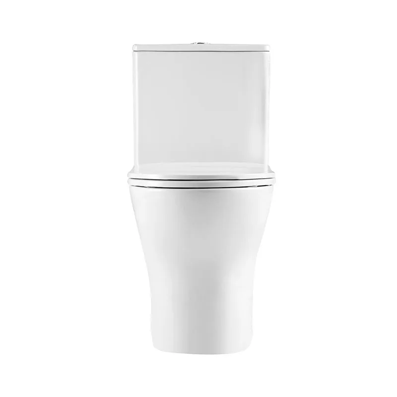 LOUNGE Унитаз-моноблок с сиденьем дюропласт soft close, P-trap BB8618CPR-MN/SC